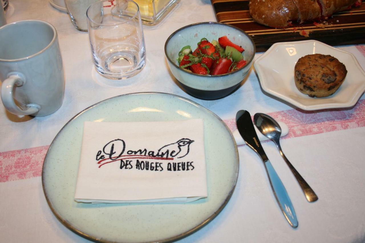 Le Domaine Des Rouges Queues 호텔 Chateaudouble  외부 사진