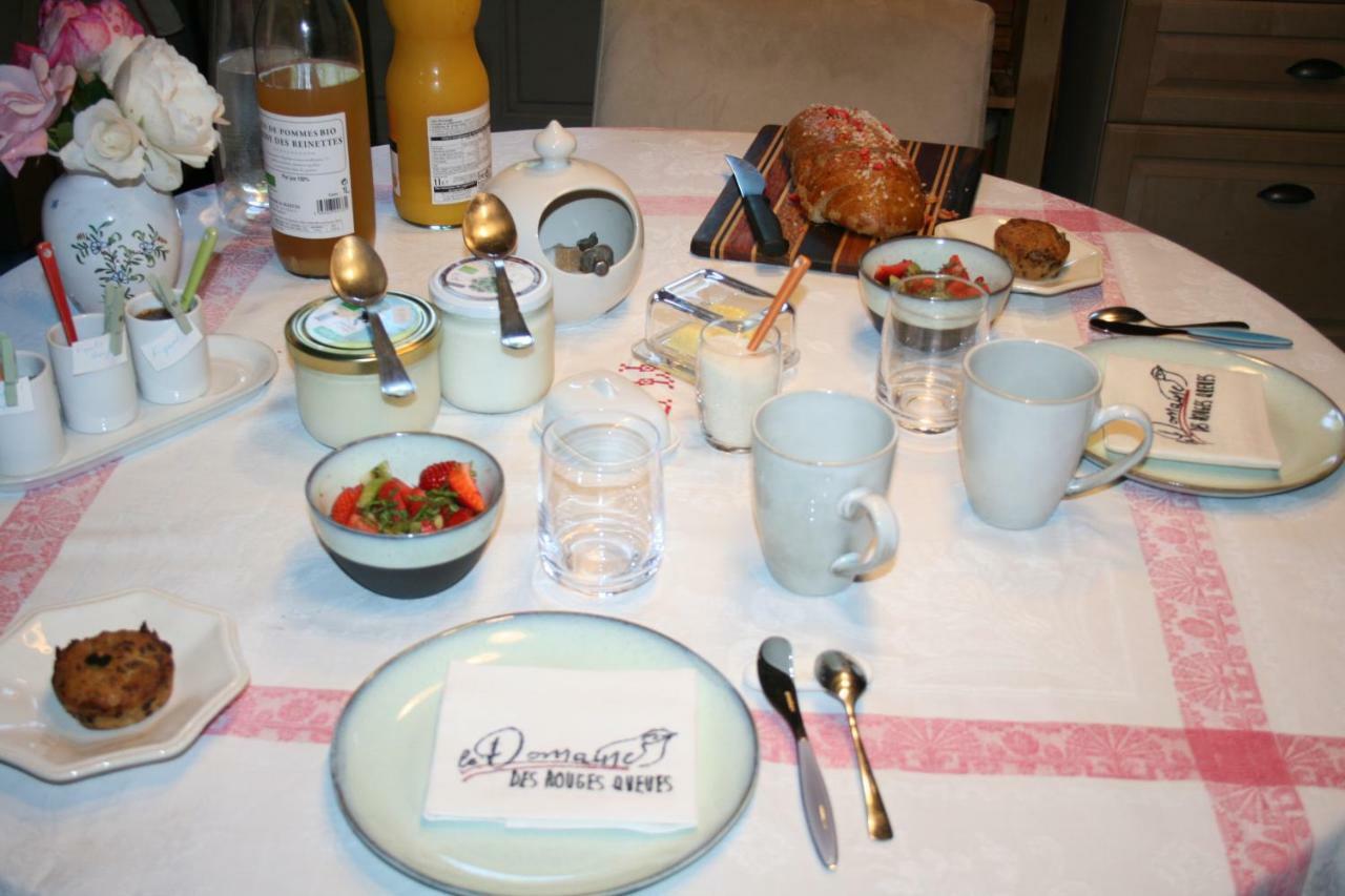 Le Domaine Des Rouges Queues 호텔 Chateaudouble  외부 사진